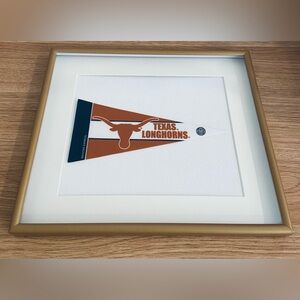 College/University Pennant Flags Framed 11x13